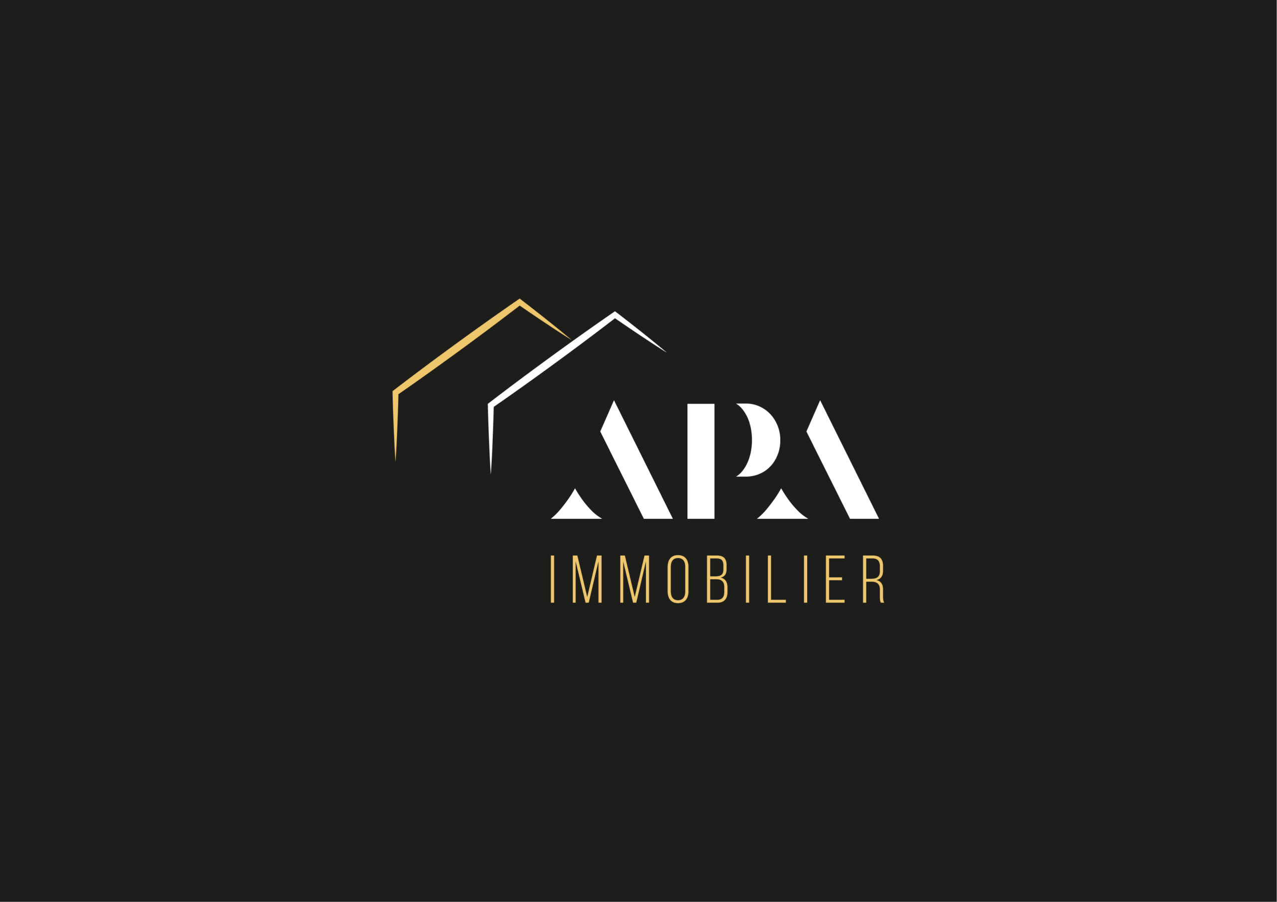 Logo APA Immobilier site dévemoppé par notone-lab